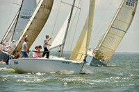 2015 Southern Bay Race Week A 310