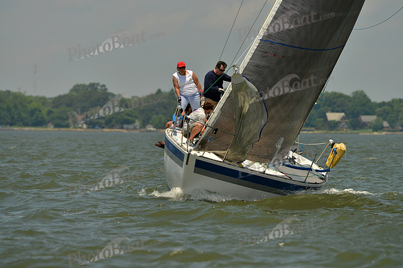 2016 Southern Bay Race Week F_1248