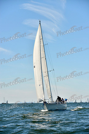2017 Vineyard Race A_0298