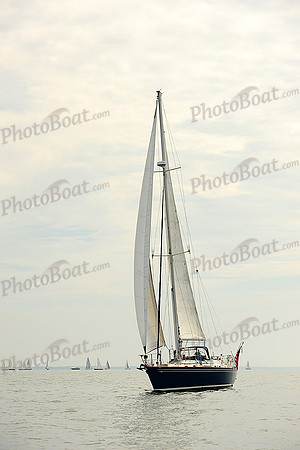 2014 Cape Charles Cup B 504