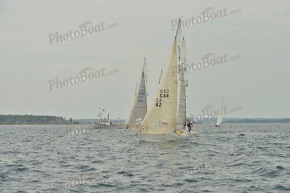 2016 Chester Race Week E_0103