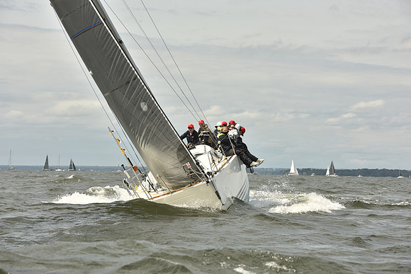 2024 Vineyard Race A_1619