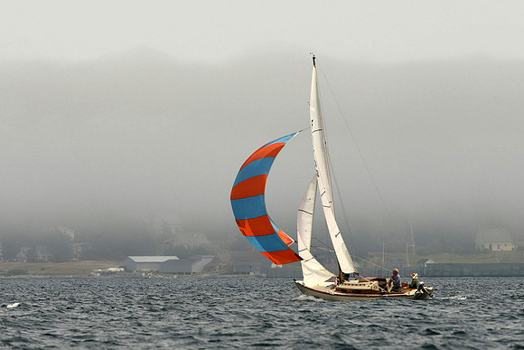 2016 Chester Race Week C 880