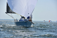 2019 Vineyard Race A_2076