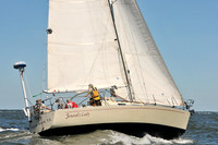 2014 Southern Bay Race Week D 321