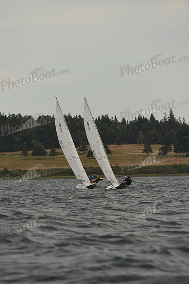 2016 Chester Race Week A_1792