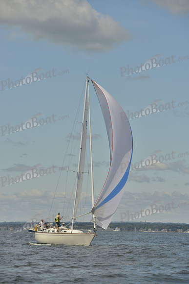 2016 Vineyard Race A_0432