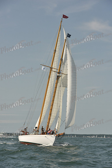2018 Vineyard Cup A_0244