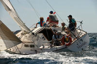 2016 Chester Race Week A_0739