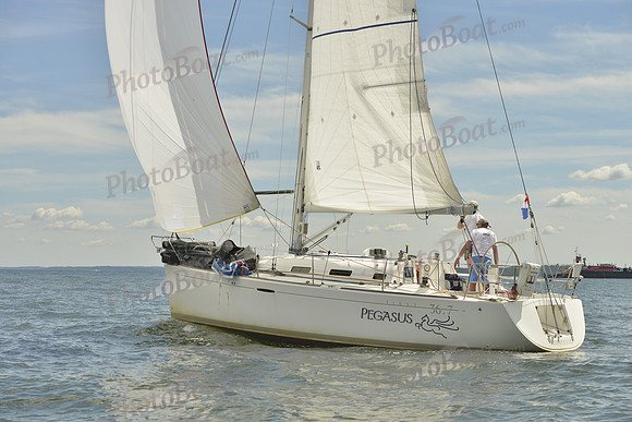 2016 Vineyard Race A_0941