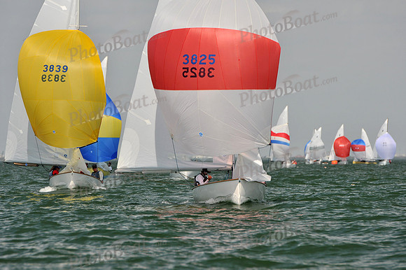 2012 Thistle Midwinters B 1432