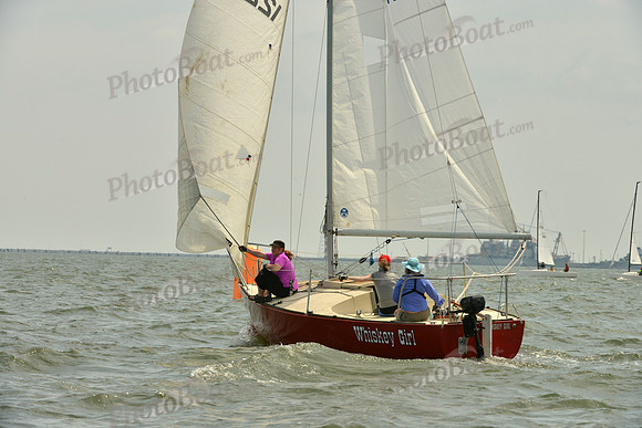 2016 Southern Bay Race Week F_0164