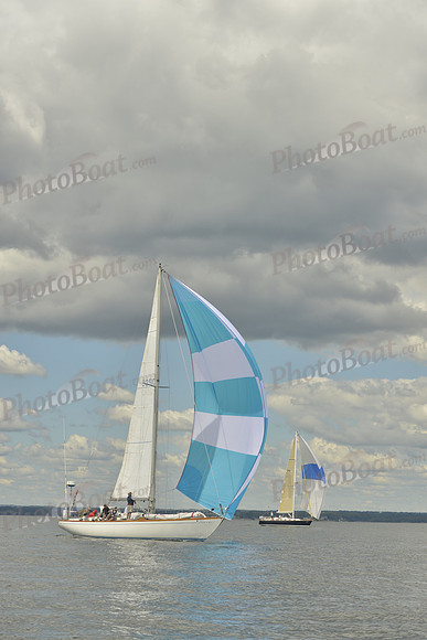 2016 Vineyard Race A_1016