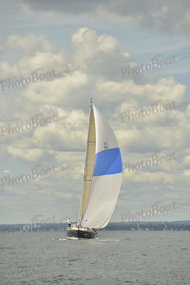 2016 Vineyard Race A_0988