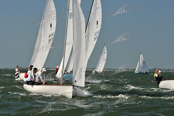 2012 Thistle Midwinters C 084