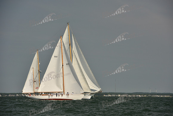 2018 Vineyard Cup A_0288