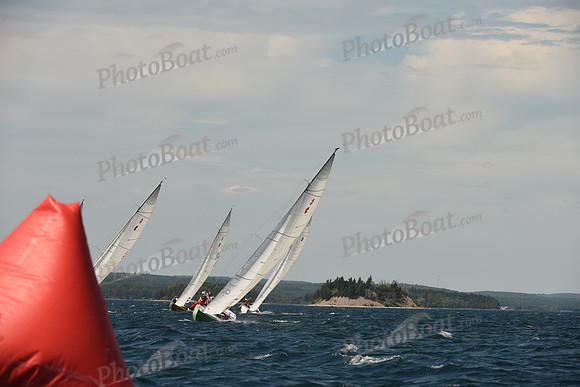 2016 Chester Race Week A_1174