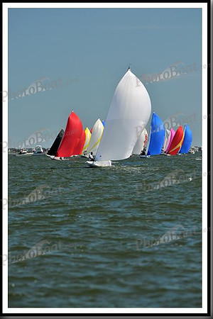 proof_2010_EScows_E 1063