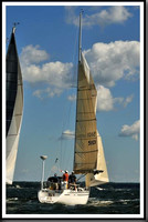 proof_2010_Vineyard_Race_0082