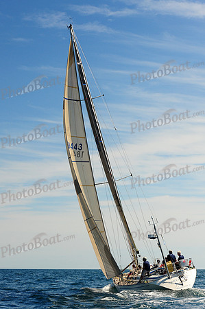 2014 Newport Bermuda A 1031