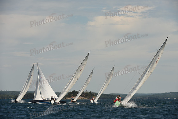 2016 Chester Race Week A_1181