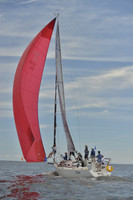 2016 Vineyard Race A_0489