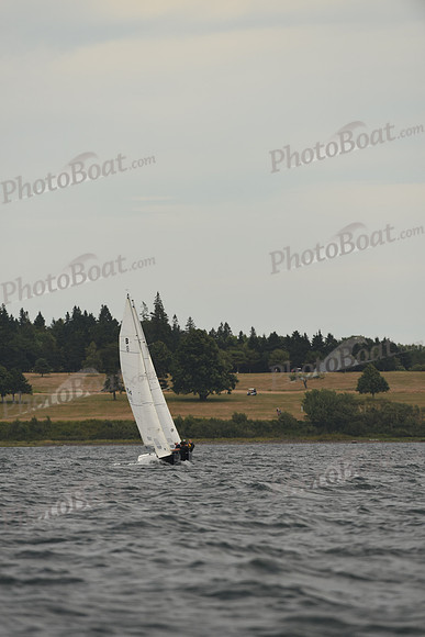 2016 Chester Race Week A_1788