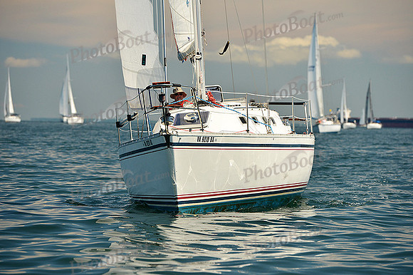 2015 Cape Charles Cup C 367