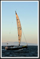 proof_2010_Vineyard_Race_2400