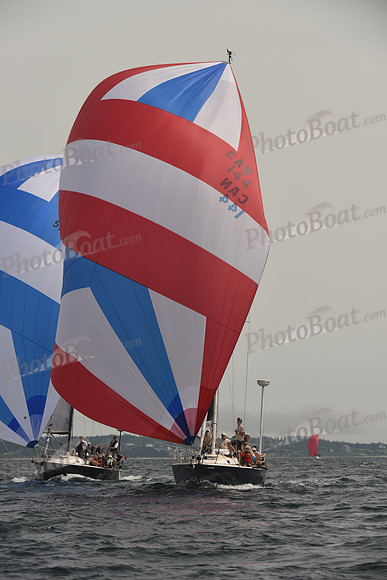 2016 Chester Race Week C_1450