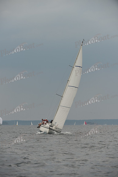 2016 Chester Race Week D_0579