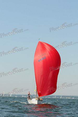 2012 Vineyard Race A 141