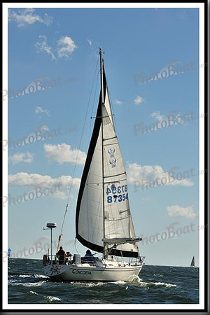 proof_2010_Vineyard_Race_0176