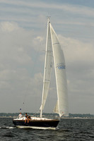 2013 Vineyard Race A 505