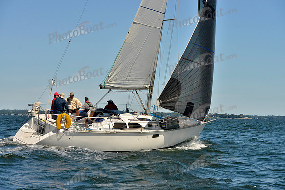 2017 Vineyard Race A_0273