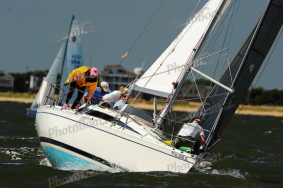 2014 Southern Bay Race Week E 265