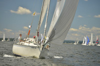 2016 Vineyard Race A_0402
