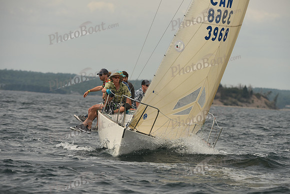 2016 Chester Race Week C_0937