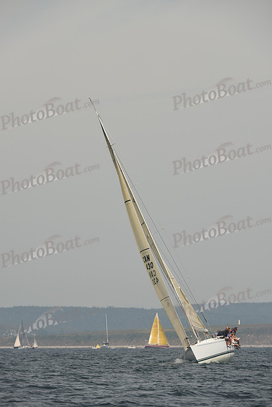 2016 Chester Race Week C_0060