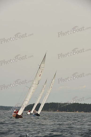 2016 Chester Race Week C_1072