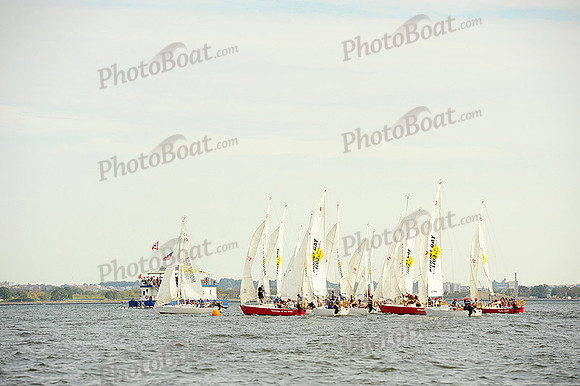 2014 NY Architects Regatta 511