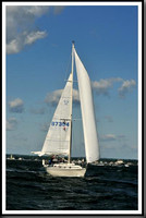 proof_2010_Vineyard_Race_0162