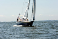 2011 Vineyard Race A 294