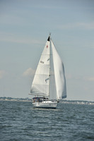 Sandy Sea