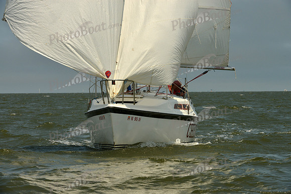 2016 Southern Bay Race Week B_0232