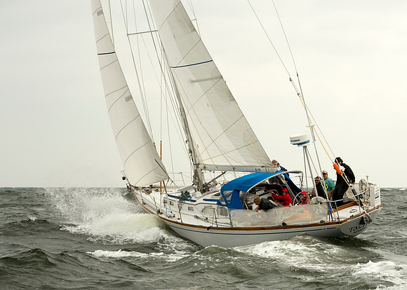 2015 Vineyard Race A_0111