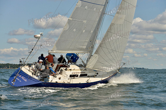 2017 Stamford Denmark Race_0851