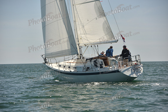 2024 Figawi 0561
