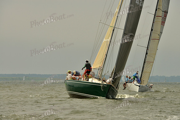 2016 Southern Bay Race Week A_0577