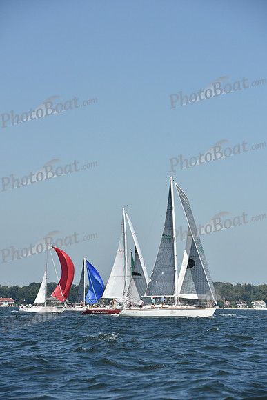 2019 Vineyard Race A_0205